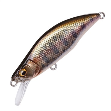 GH64 HUMPBACK(FS)